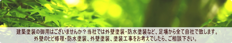 RhЃz[y[WłBzȟp͂܂񂩁H